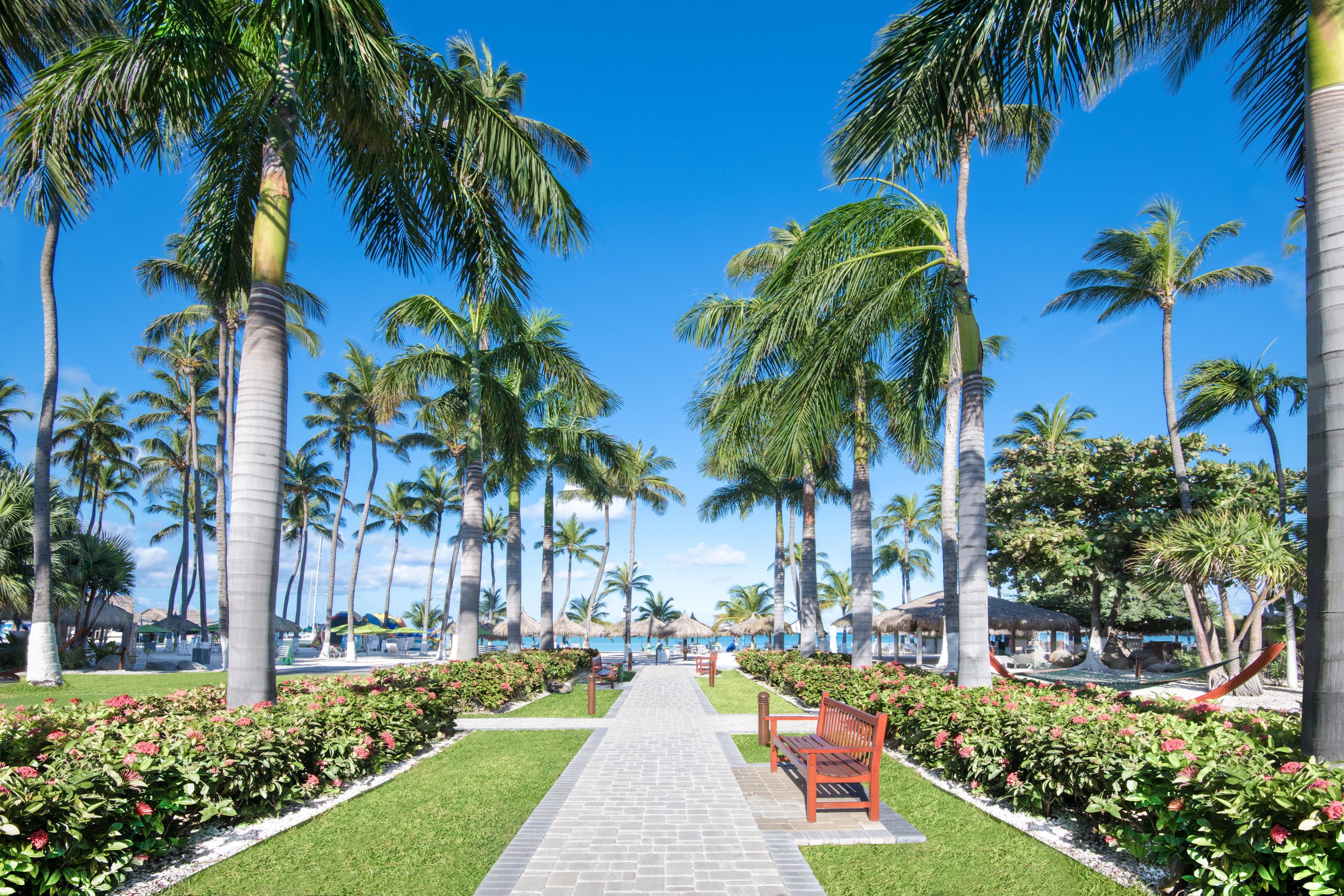 Holiday Inn Resort Aruba - Beach Resort&Casino Palm Beach Exterior foto